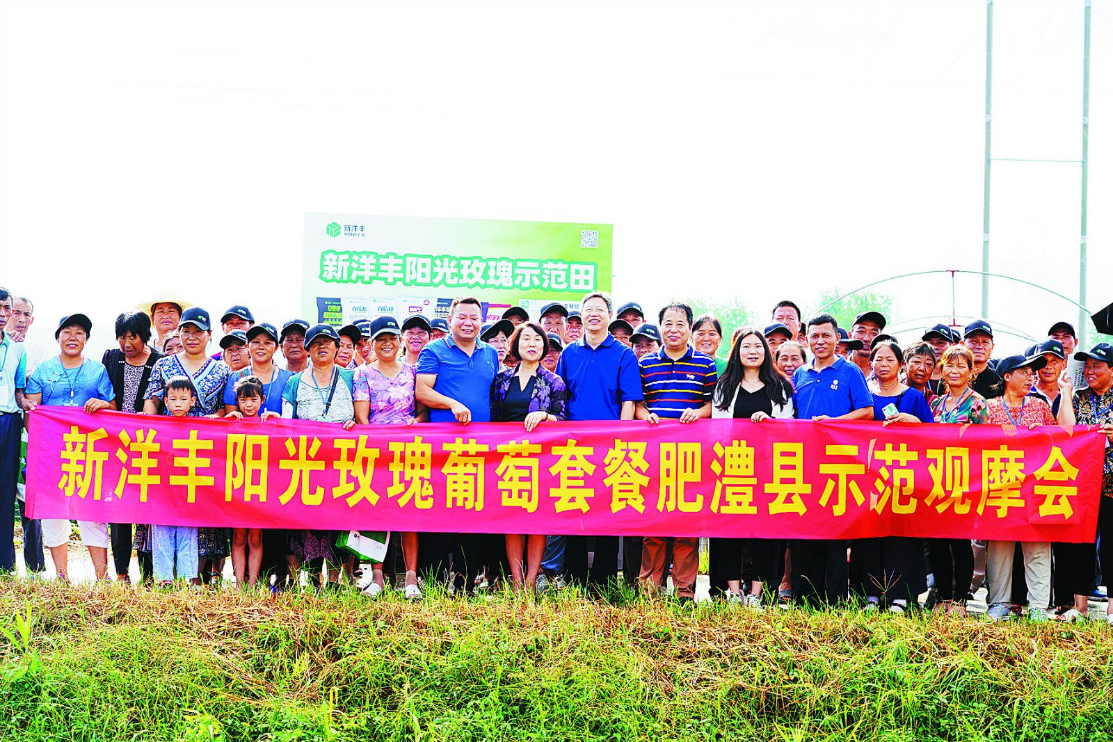ylg060net永利娱高阳光葡萄套餐肥澧县示范观摩_meitu_2.jpg