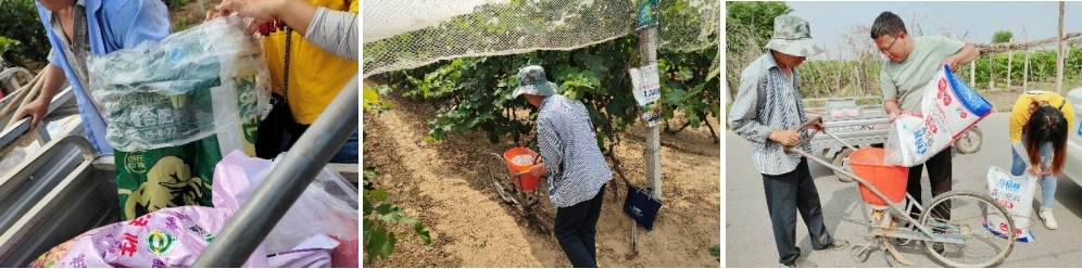 5月份，技术员跟踪指导施肥.jpg