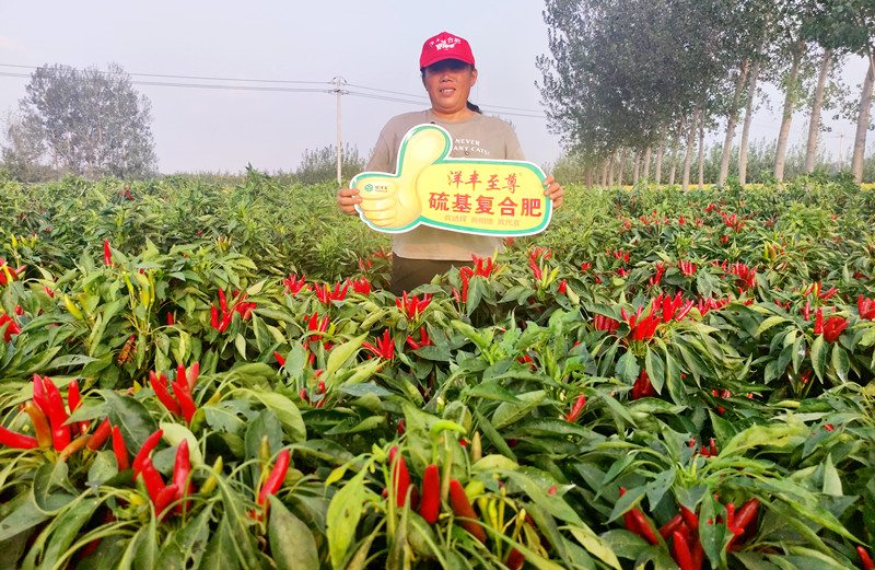 种植户：田美霞_副本.jpg
